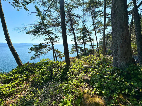 Thumb anderson bay oceanfront acreage 34