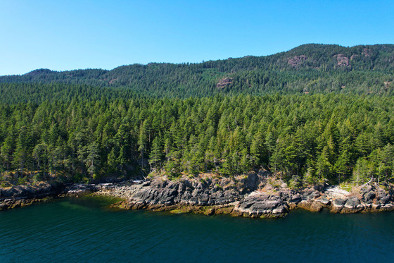 Thumb anderson bay oceanfront acreage 36