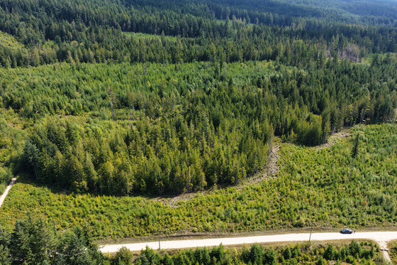 11.8 acres in Roberts Creek - Sunshine Coast