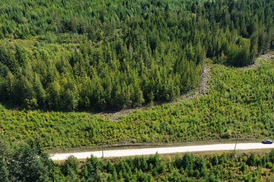 Thumb roberts creek acerage 02