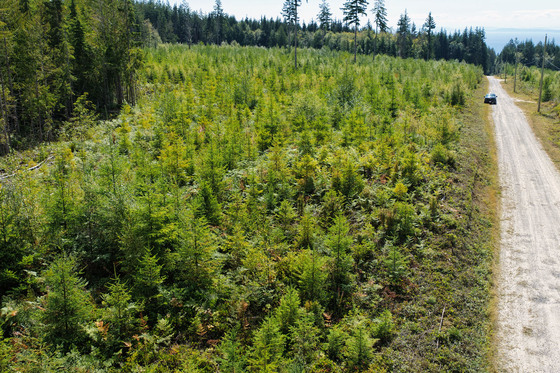 Thumb roberts creek acerage 03