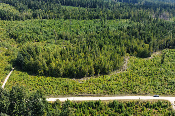 Thumb roberts creek acerage 06