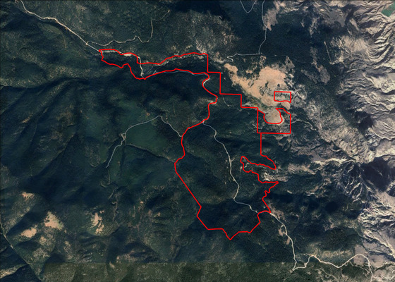 Woodlot Priced for Immediate Sale - Rural Lillooet, BC