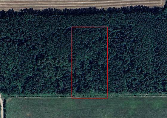 Rural 5-Acre Lot North of Fort Fraser - Fort Fraser, BC