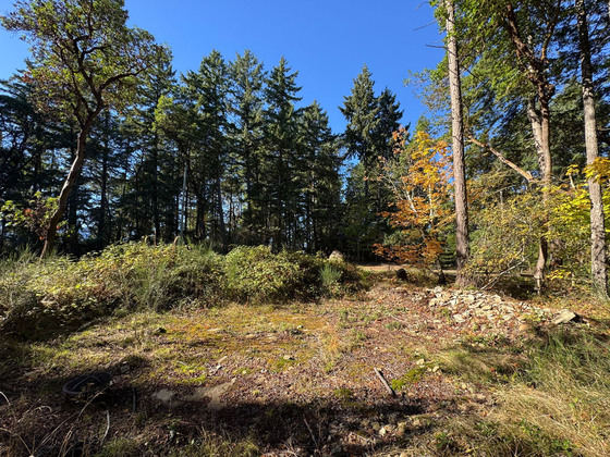 164 Pirates Lane - Protection Island, BC