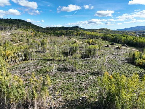 Affordable 58 Acres in the Quiet Town of Endako, BC