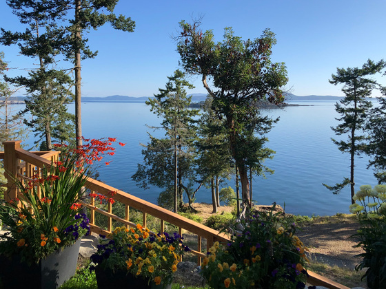 Coastal Sanctuary on Sidney Island - Southern Gulf Islands 