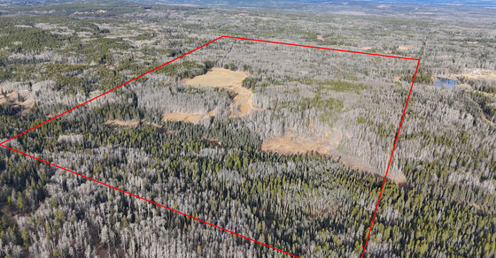 Where the Pavement Ends: 319 Acres of Freedom Near Water Valley - Water Valley, AB