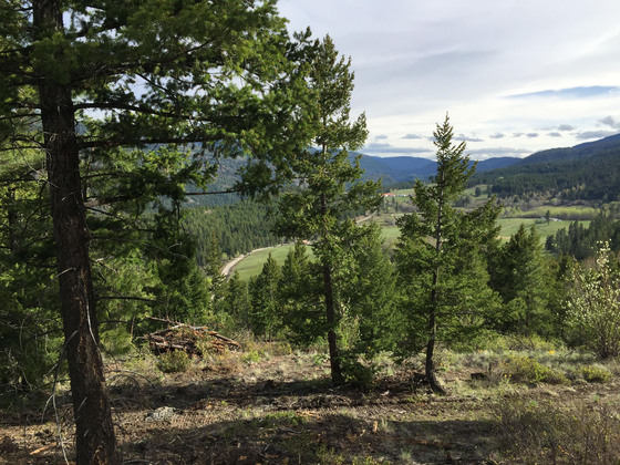 Build your Dream Home on 19.71 Acres - Petit Creek - Merritt, BC