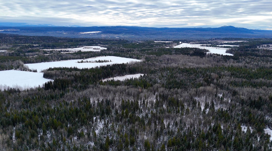Prime 622-Acre Hay and Timber Investment Near Prince George, BC