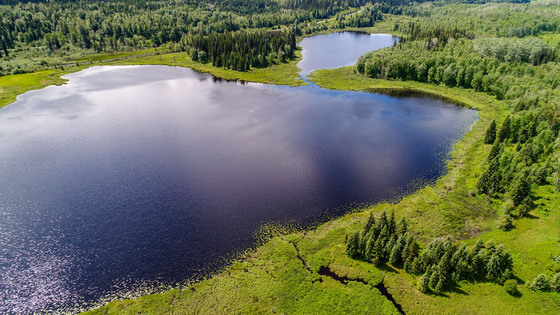 Aleza Lake Waterfront - 169 Acres with 5,500 ft of shoreline