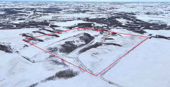 Hardisty Horizons - 175 Acres of Rolling Prairie - Hardisty, AB