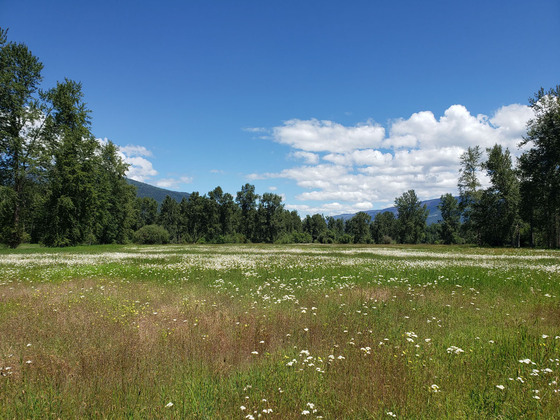 Lush Agricultural/Recreational Acreage - Mabel Lake, BC