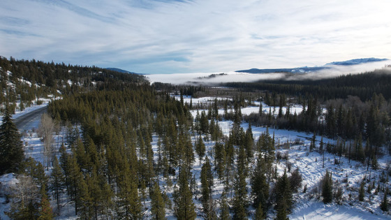 40 Acres of Bare Land - Tatla Lake 