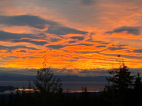 25 Acres on Forbidden Plateau - Ocean Views, Privacy & Endless Recreation