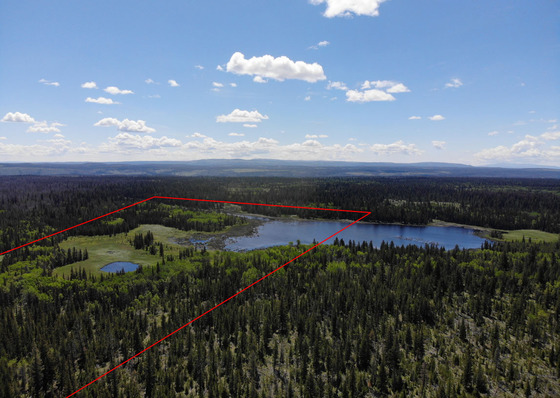 Backcountry Acreage on Small Lake - 70 Mile House, BC