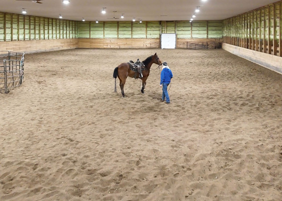 Rope, Ride, and Room to Roam - Valleyview, AB