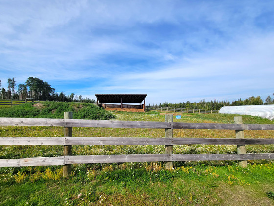Big Sky, Deep Roots - A Legacy Ranch Comes to Market in Prince George ...