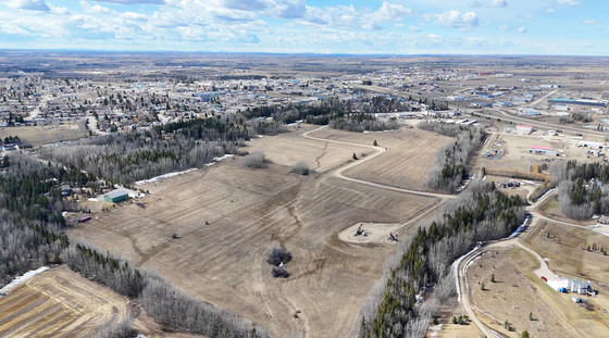 Nearly 39 Acres Within Town Limits - Room to Dream