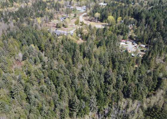 11 Acres Near Qualicum Beach - Vancouver Island