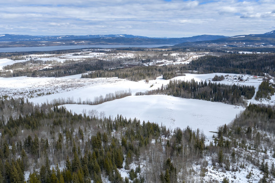 308-Acre Turnkey Horse & Cattle Farm Near Francois Lake - Burns Lake 