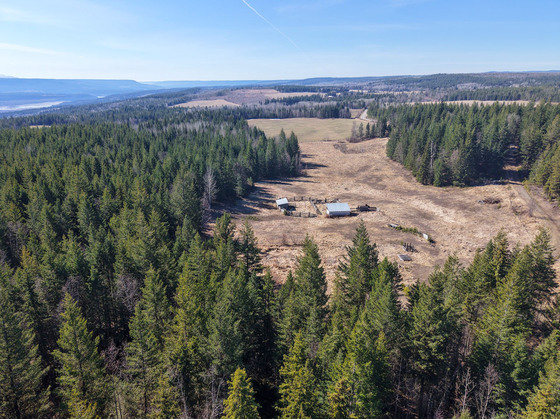 Timber and Terrain: 140 Acres of Revenue-Generating Potential on West Fraser Road
