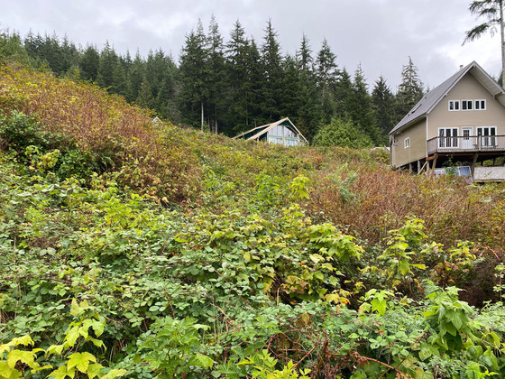 Lot 65, Haggard’s Cove - Vancouver Island