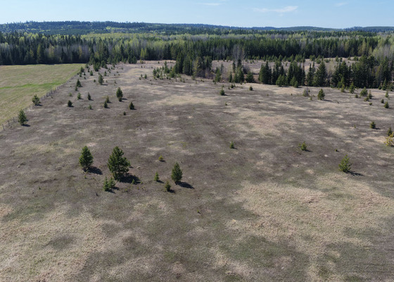 Affordable Acreage for Homestead or Hobby Farm - Prince George, BC