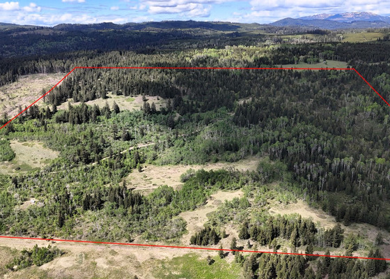 Scenic Off-Grid Acreage - Pinantan Lake, BC