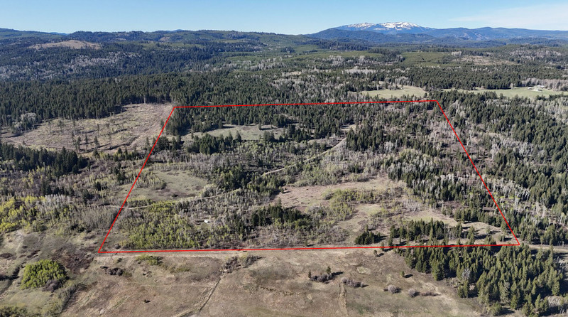 Scenic Off-Grid Acreage - Pinantan Lake, BC