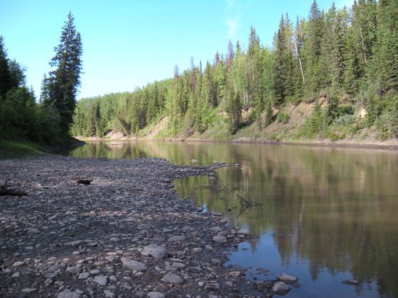 159 Acres on the Kiskatinaw River - Peace River Region
