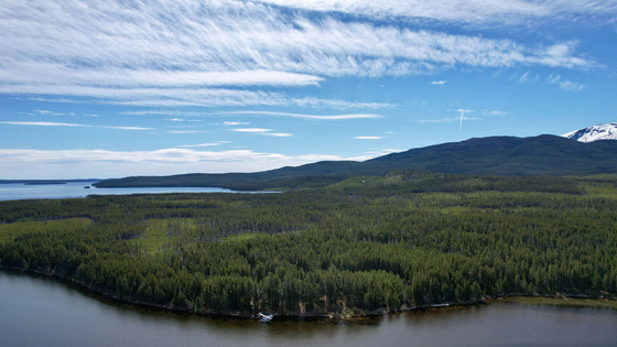 Tourism Commercial Lakefront Lots and Cabins - Charlotte Lake, BC 