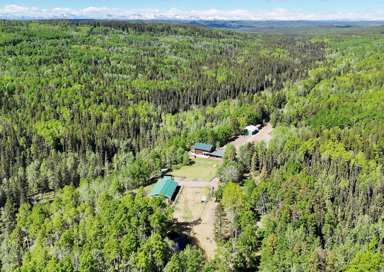 A Country Dream: 157 Acres of Creekside Privacy Near Water Valley, AB
