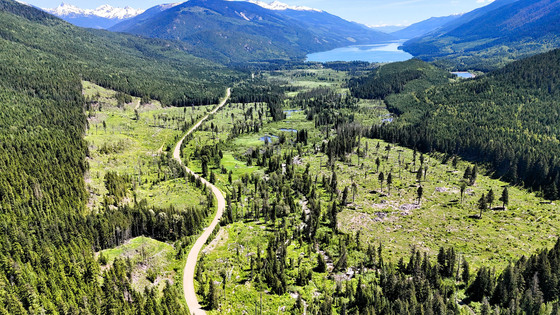 Water, Wildlife and Recreation in the Heart of the Selkirks - Trout Lake, BC
