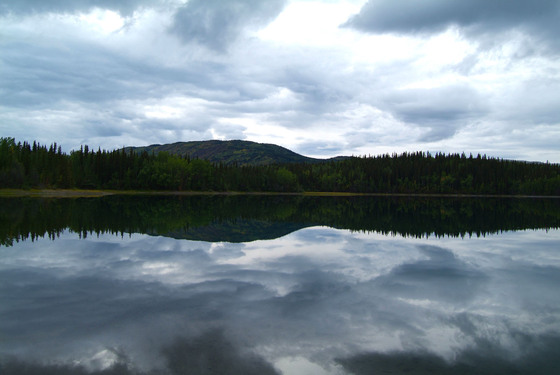 1.17 Acres of Treed Lakefront in Dease Lake, BC