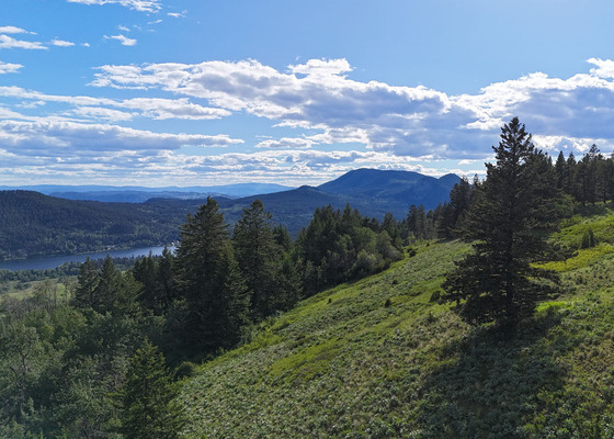 Scenic Off-Grid Acreage - Pinantan Lake, BC