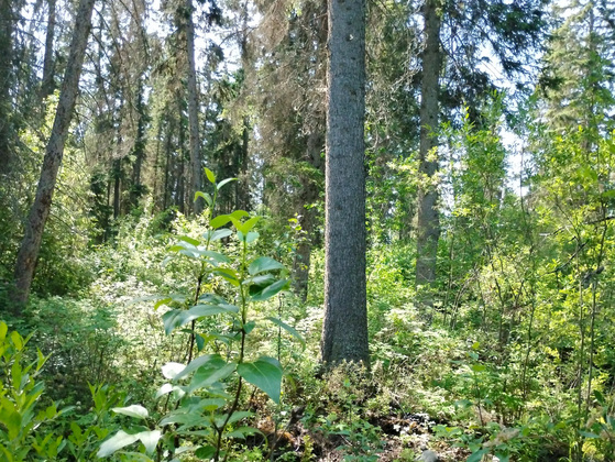 Rare Development and Lifestyle Opportunity in Fort Vermilion, AB