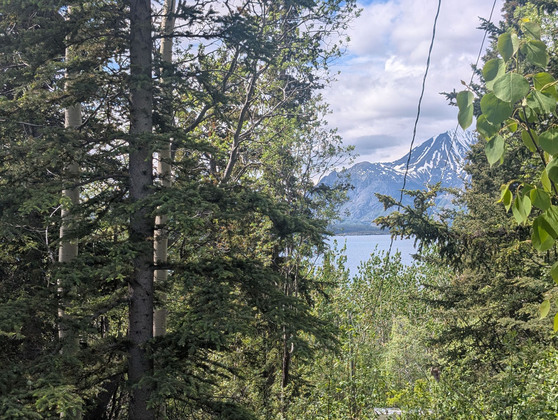 Lakefront Acreage in BC’s Switzerland of the North - Atlin, BC