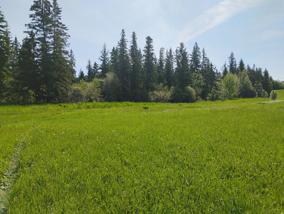 62-Acre Recreational Golf Course Opportunity in Historic Mackenzie County