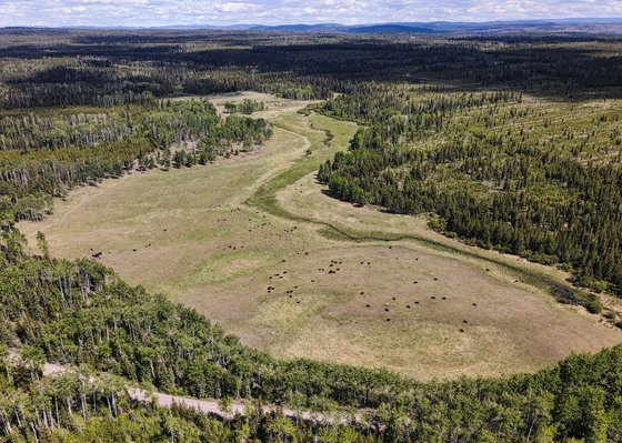 Oxbow Ranch - 70 Mile House, BC