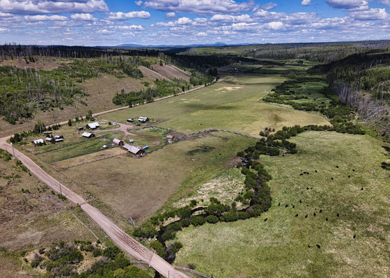 Canyon Creek Ranch - 70 Mile House, BC