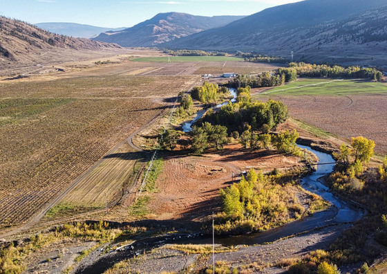 Fischer Ranch and Cache Creek Natural Beef - Cache Creek, AB