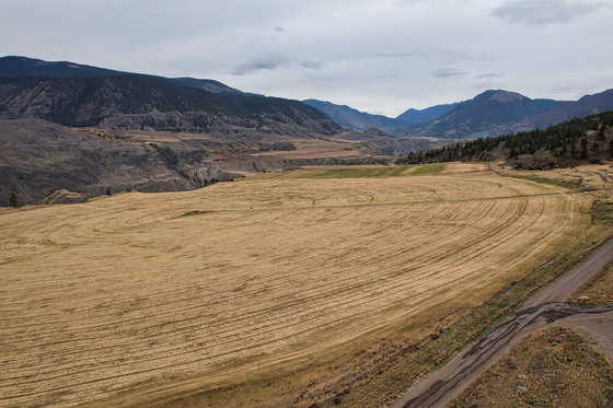 Blue Ridge Ranch - Pavillion, BC