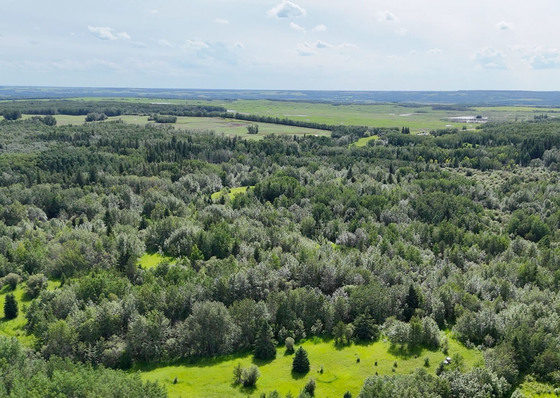 Trails, Timber and Opportunity - 78 Acres Near Smoky Lake, AB