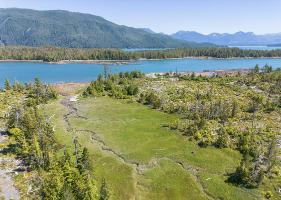 Large Oceanfront Lot - Kelp Passage - Oona River, BC