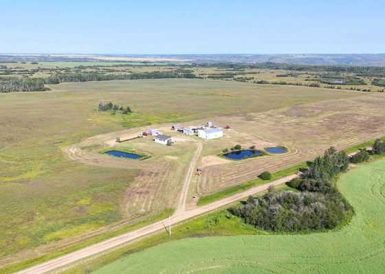 Where the Peace Country Becomes Home - Rycroft, AB