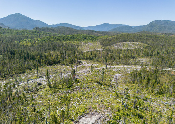 80 Acre Lot - Porcher Island, BC 