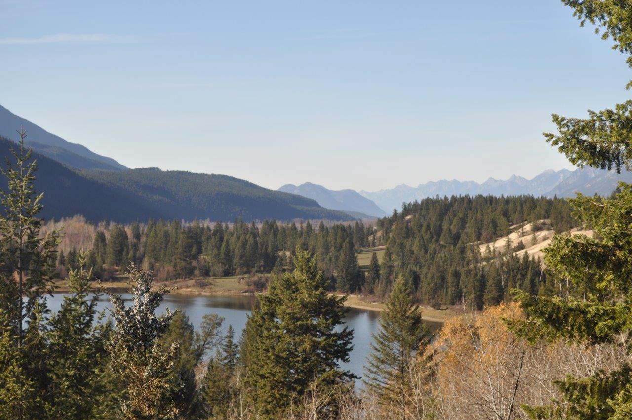 Stunning Acreage with Spring, Creek, Lake & River Frontage Columbia