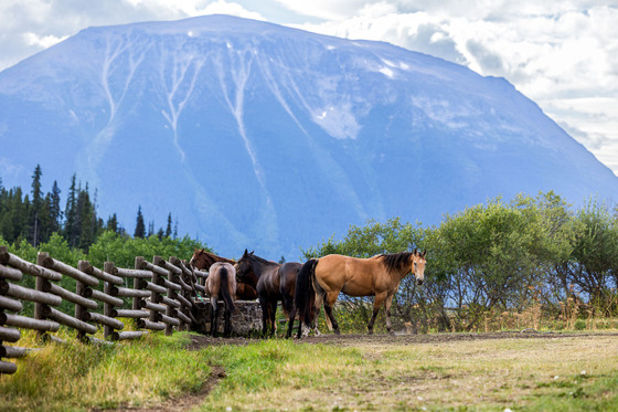 2,820-Acre Western Style Cattle Ranch Estate - Houston, BC