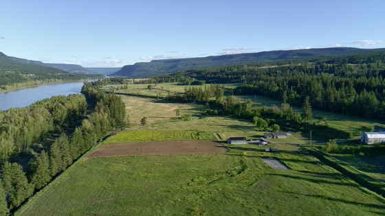 Fraser River Farmstead - 37 Riverfront Acres in the BC Cariboo